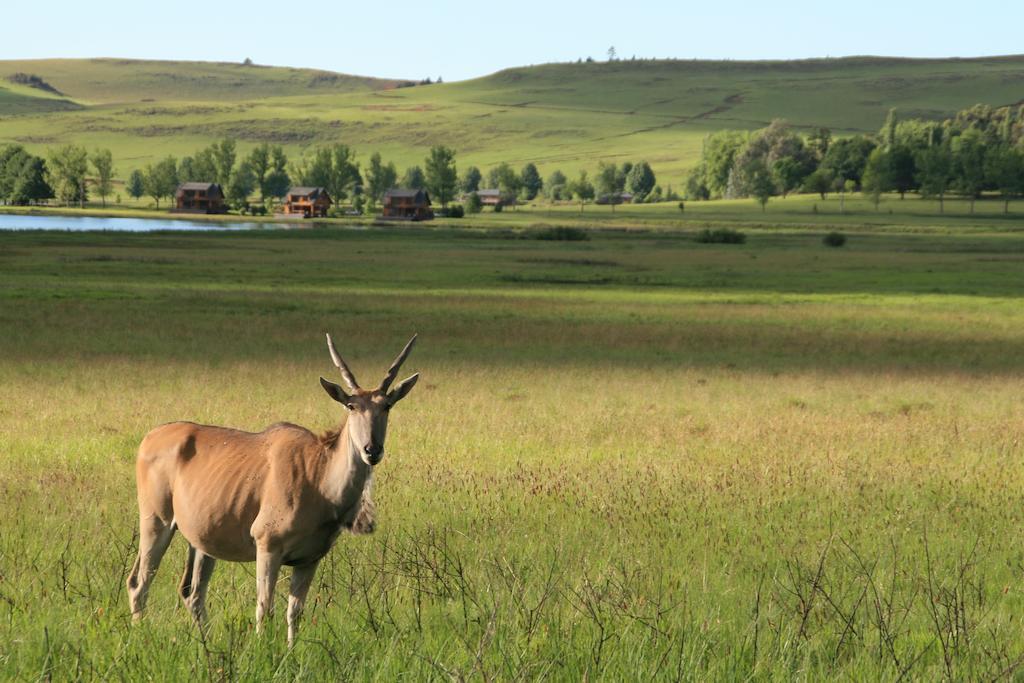 Sani Valley Nature Lodges Гаймвіль Екстер'єр фото